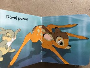 Walt Disney, Koza odratá a jež, Veľká kniha živočíchov - 18