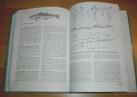 Abeceda rybára – Od začiatočníka k majstrovi - 18