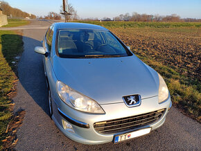 Predam Peugeot 407, 2.0HDi, 100 kW - 18