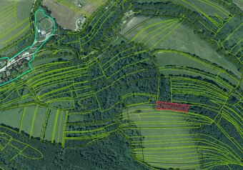 Beckov – 2.133 m2 LESNÝ POZEMOK v súkromnom vlastníctve - 18