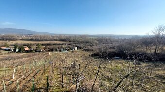 PREDAJ - CHATKA S VINICOU - ZLATÉ MORAVCE - 18