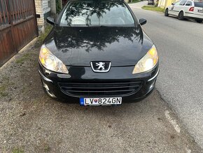 Peugeot 407 Sw - 18