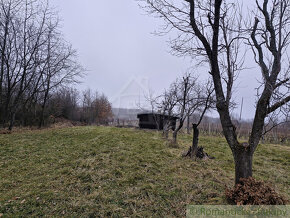 Pekná, udržiavaná vinica s chatkou za Kozárovcami - 18