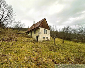 Viničný dom a vinica so vzácnou morušou v Devičanoch - 18