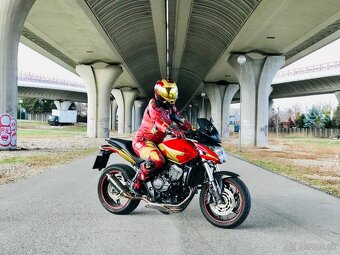 Honda CB600F Hornet - 18