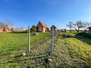 Viničný dom s vinohradom na predaj, Melek - 18