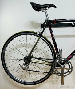 Colnago Master Titanio Art Decor - 18