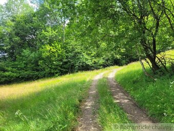 Väčší pozemok v horách nad Lazmi pod Makytou - Čertov - 18