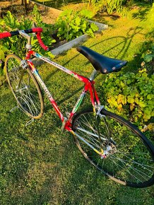 Colnago Master Olympic Decor “Trifoglio” - 18