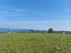 Rekreačný dom, kde každá chvíľa je nezabudnuteľná - 18