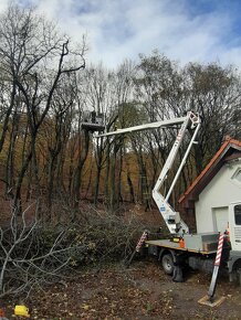 Rizikové pilenie stromov arboristika - 18