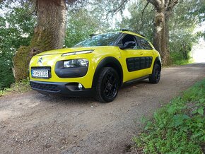 Citroen C4 Cactus - 18