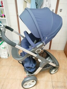 Stokke cruzi - 18