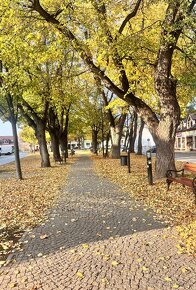 1 izbový byt na prenájom v centre Skalice - 18