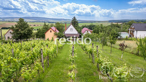 Chata so súkromným vinohradom na úpätí Bielych Karpát - 18