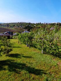 Rodinný dom v Leviciach s veľkým pozemkom - 18