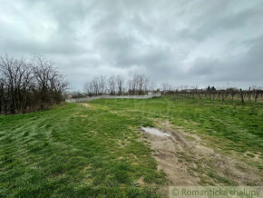 Krásny vinohrad na veľkom pozemku vo vinohradníckej oblast - 18