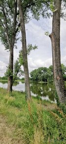 Nová cena VINICA S CHATOU A S ALTÁNOM PRI VRÁBĽOCH - 18