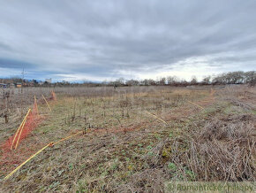 Pôvodný dom na rozľahlom vyše 6000m2 pozemku v kľudnej čas - 18