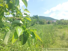 Pôvodný dom na rozľahlom pozemku len 6 km od Štúrova v obc - 18