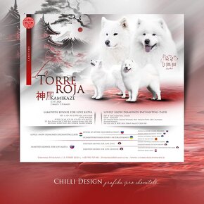 Samojed s PP LA TORRE ROJA - 18