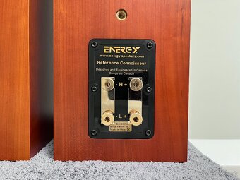 Repro. Energy Reference Connoisseur RC-10 bookshelf speakers - 19