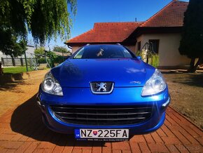 Peugeot 407SW - 19