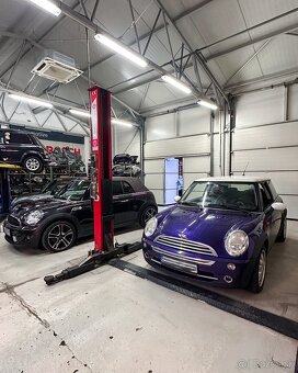 Mini Cooper Black-eye purple - 19