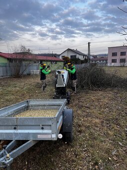 Rez, výrub a štiepkovanie drevín - 19