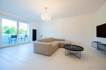 Apartmány v kúpeľnom meste Piešťany - 19