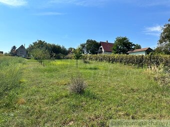 Viničný domček s vinohradom nad malebnou dedinkou Michal n - 19