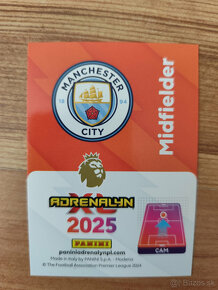 Futbalové kartičky Panini Premier League 2025 - 19