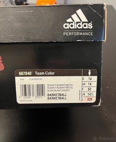 Adidas Pro Model Team Color Basketball 50 vel. - 19