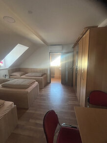 Apartmány na prenájom. - 19