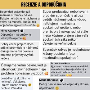 Vianočný stromček, Vianočné stromčeky ako źivé❗RECENZIE - 19