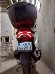 Honda PCX 125 9kw - 19