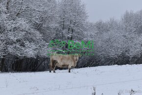 Pozemky,výhľad na Nízke Tatry, Podkoreňová, Brezno 3-D - 19