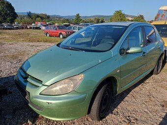 Peugeot 307 - 19