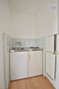 Na predaj apartmánový dom s pozemkom o výmere 512 m2, Veľký  - 19