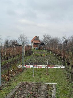 Vinohradnícky domček s vinicou v Skalici - 19