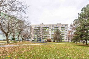 Pekný, zariadený byt, balkón + loggia + zimná záhrada, Kukuč - 19