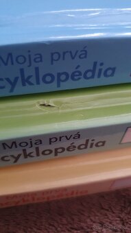 Moja prvá encyklopédia s Mackom Puf a jeho priateľmi - 19