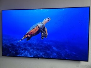 Na predaj víťaz roku 2019 LG OLED55B8 - 19