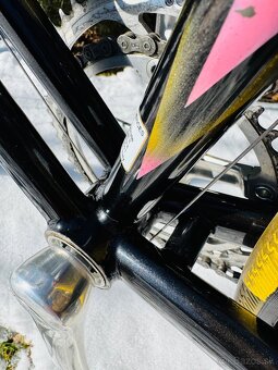 Colnago Master Bititan Decor - 19