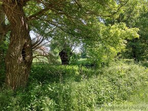 Pozemok na brehu Dunaja v obci Radvaň nad Dunajom - 19