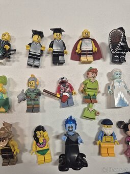 Collectible Minifigures - 19