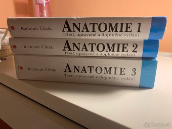 Čihák anatómie 1,2,3 - 19