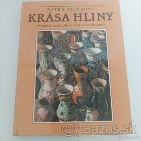 Krasa hliny - Ester Plicková