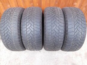 Zimne pmeu SUV 225/55 R18 109V Extra Load - 1