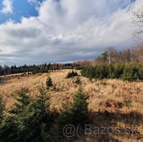 Malá Čausa – 709m2 ORNÁ PÔDA a LES - Na predaj